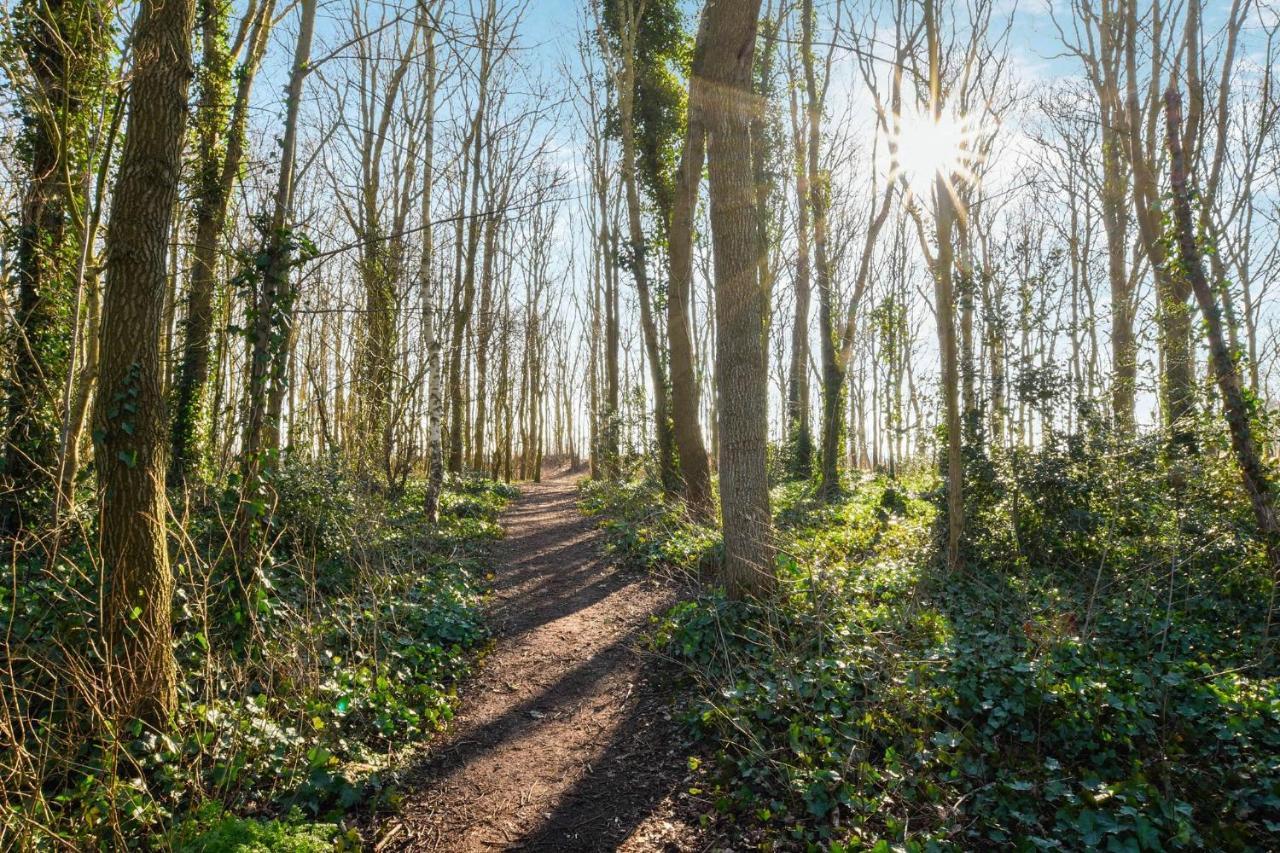 Sunnybeachhouse Aan Het Bos, Tussen Zee En Meer. Noordwijkerhout Dış mekan fotoğraf